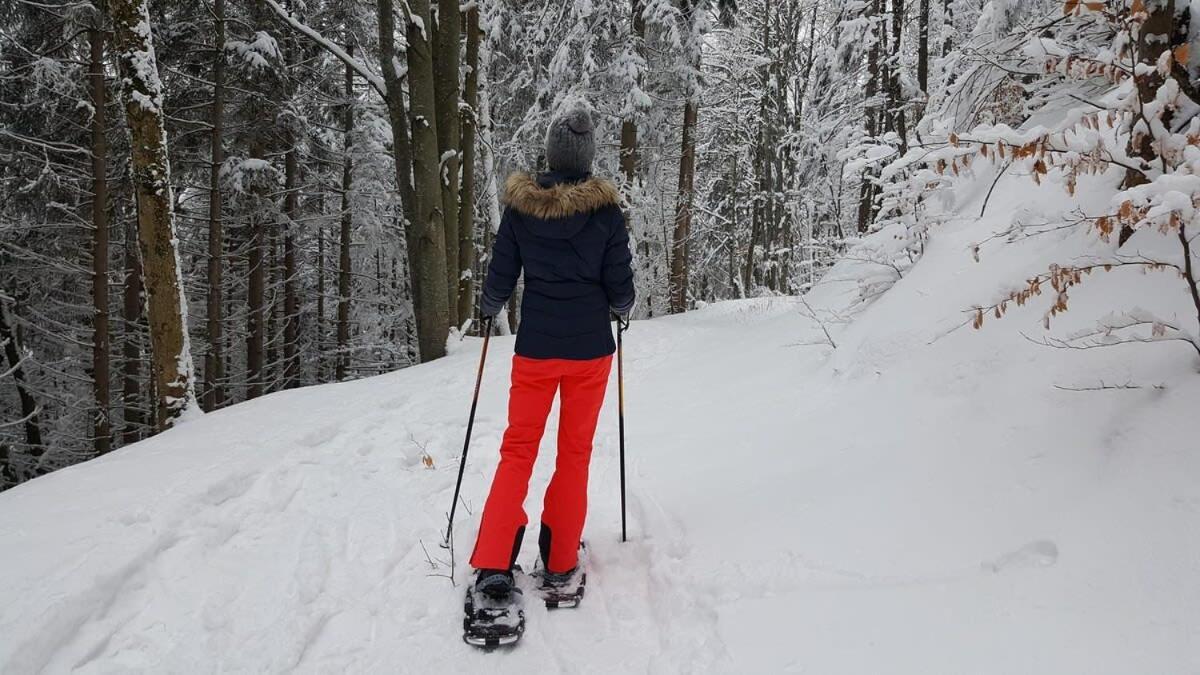 Chic Familiale, Relaxant Avec En Montagnes Labelle