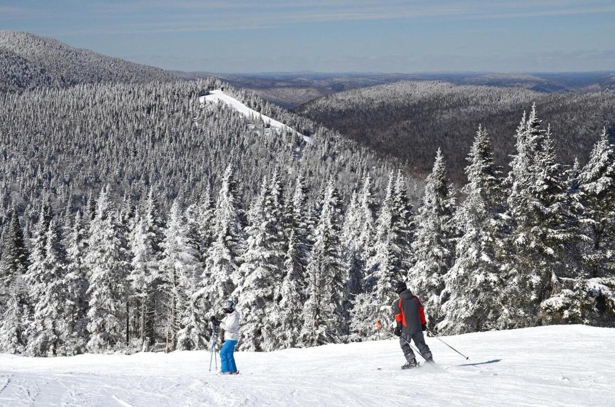 Chic Familiale, Relaxant Avec En Montagnes